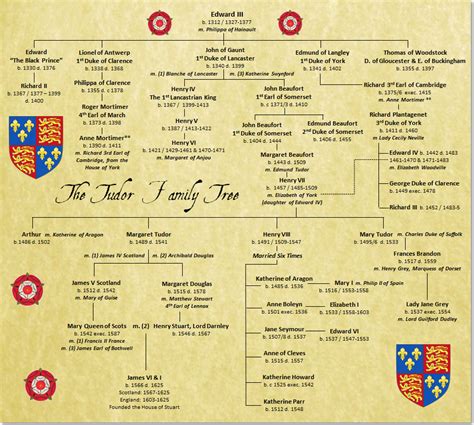 tudor 101|tudor family history facts.